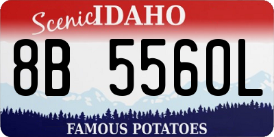 ID license plate 8B5560L