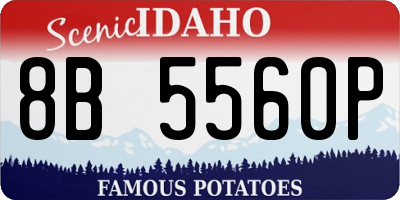 ID license plate 8B5560P