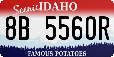 ID license plate 8B5560R