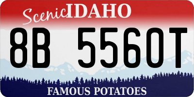 ID license plate 8B5560T