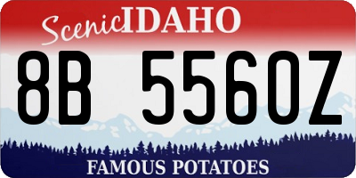 ID license plate 8B5560Z