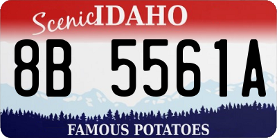 ID license plate 8B5561A