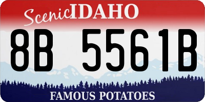 ID license plate 8B5561B