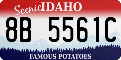 ID license plate 8B5561C