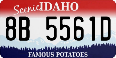 ID license plate 8B5561D