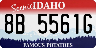 ID license plate 8B5561G