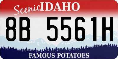 ID license plate 8B5561H