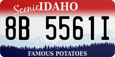 ID license plate 8B5561I