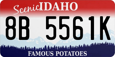ID license plate 8B5561K