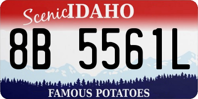 ID license plate 8B5561L