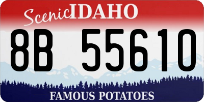 ID license plate 8B5561O