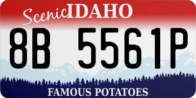ID license plate 8B5561P