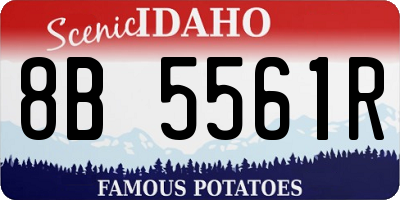 ID license plate 8B5561R