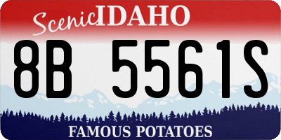 ID license plate 8B5561S