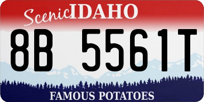 ID license plate 8B5561T