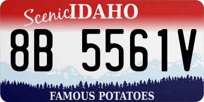 ID license plate 8B5561V