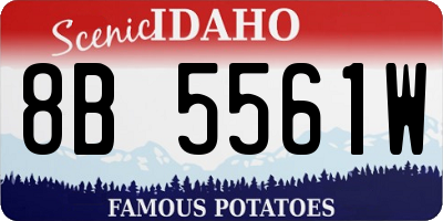ID license plate 8B5561W