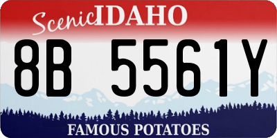 ID license plate 8B5561Y