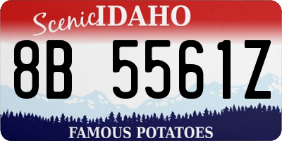 ID license plate 8B5561Z