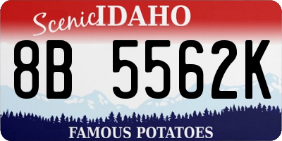 ID license plate 8B5562K