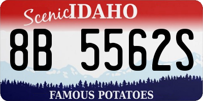 ID license plate 8B5562S
