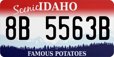 ID license plate 8B5563B