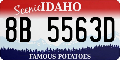 ID license plate 8B5563D