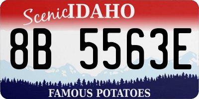 ID license plate 8B5563E