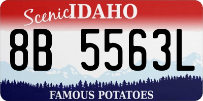 ID license plate 8B5563L