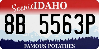 ID license plate 8B5563P
