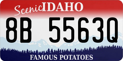 ID license plate 8B5563Q