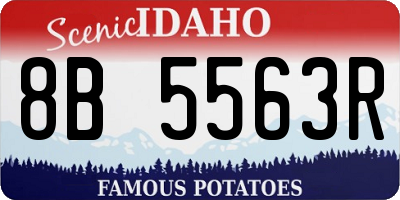 ID license plate 8B5563R
