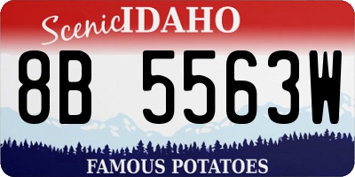 ID license plate 8B5563W