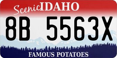 ID license plate 8B5563X