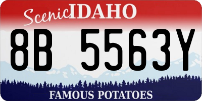 ID license plate 8B5563Y