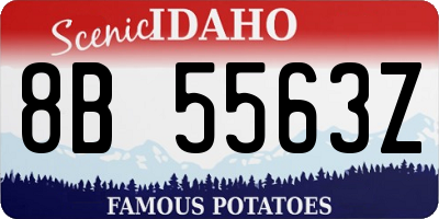 ID license plate 8B5563Z