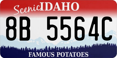 ID license plate 8B5564C