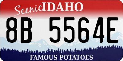 ID license plate 8B5564E