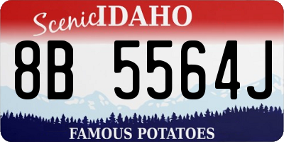 ID license plate 8B5564J