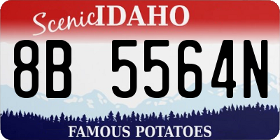 ID license plate 8B5564N