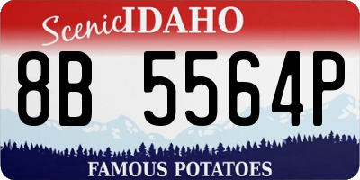 ID license plate 8B5564P