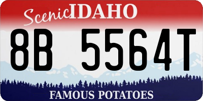 ID license plate 8B5564T