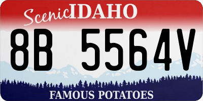 ID license plate 8B5564V
