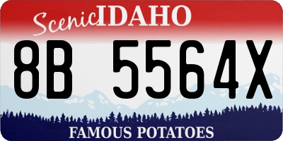 ID license plate 8B5564X