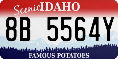 ID license plate 8B5564Y