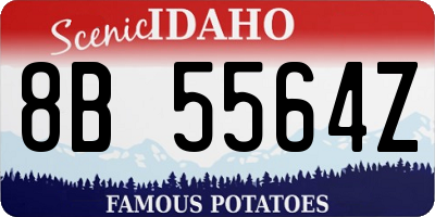 ID license plate 8B5564Z