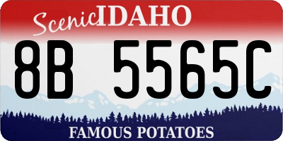 ID license plate 8B5565C
