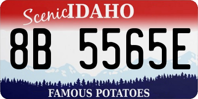 ID license plate 8B5565E