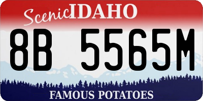 ID license plate 8B5565M