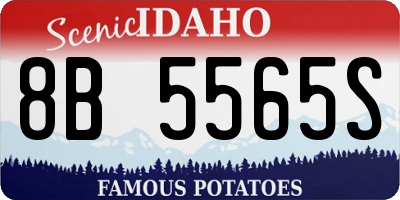 ID license plate 8B5565S